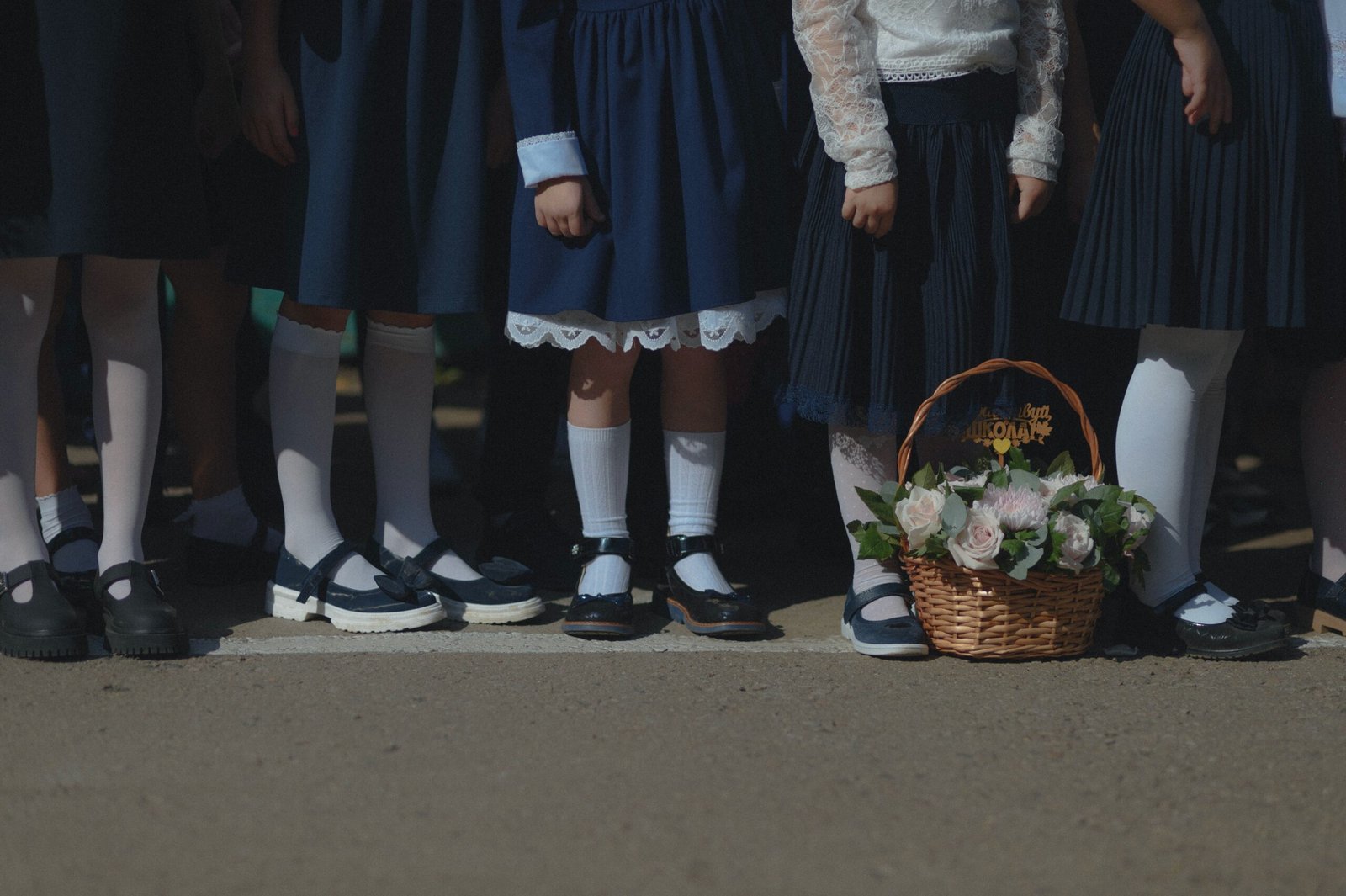 La facultad libre para aprender a lo largo de la vida